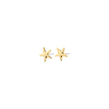 Aretes de botón, forma estrella de mar, baño de oro 18k — ANDRE