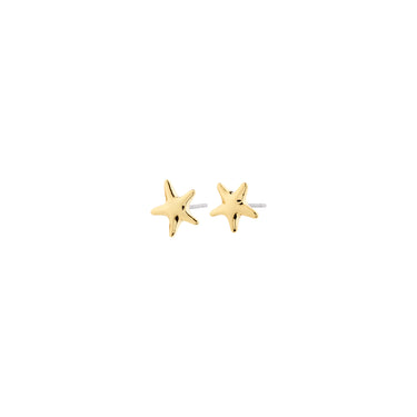 Aretes de botón, forma estrella de mar, baño de oro 18k — ANDRE